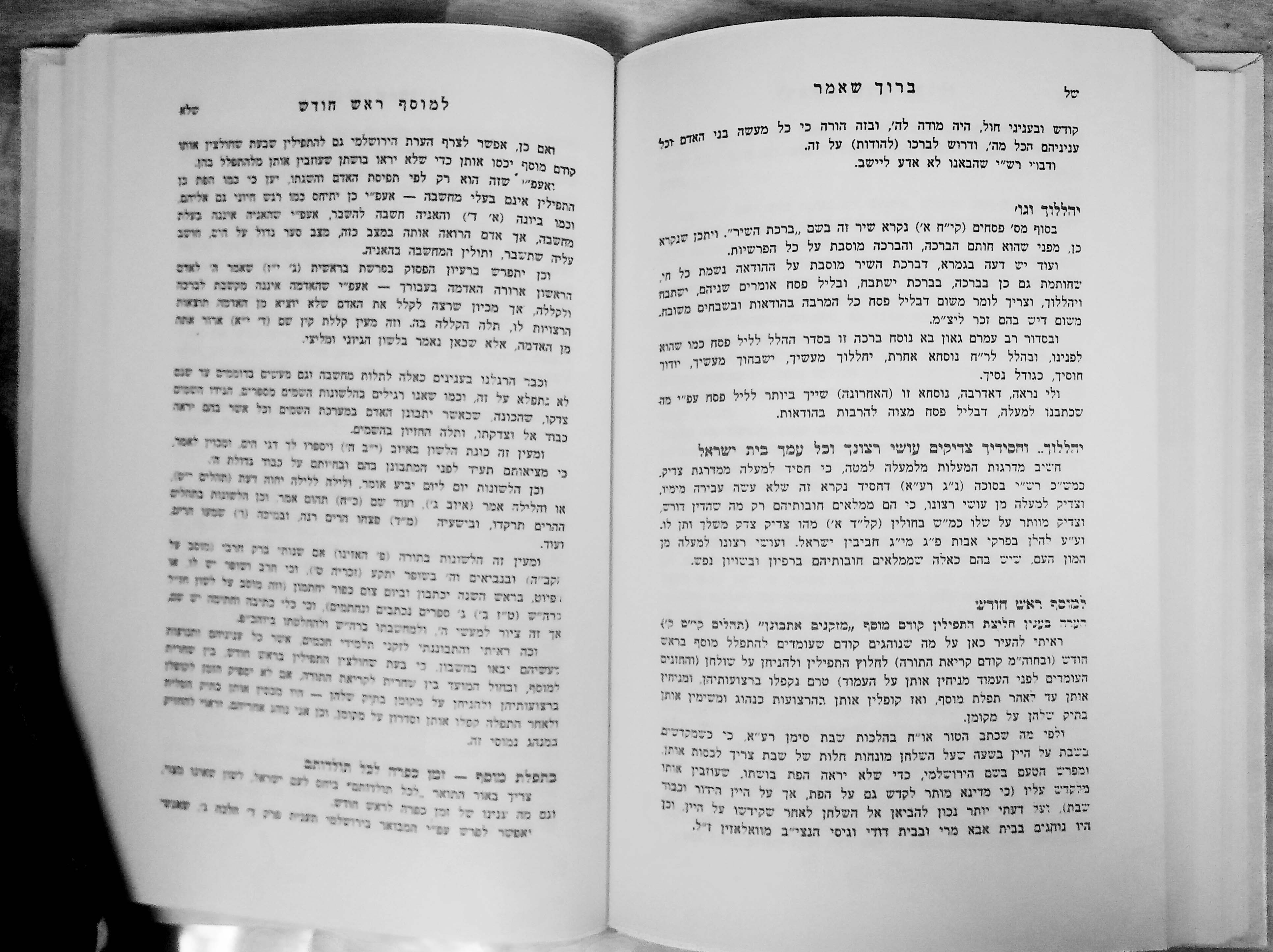 ברוך שאמר-min.jpg