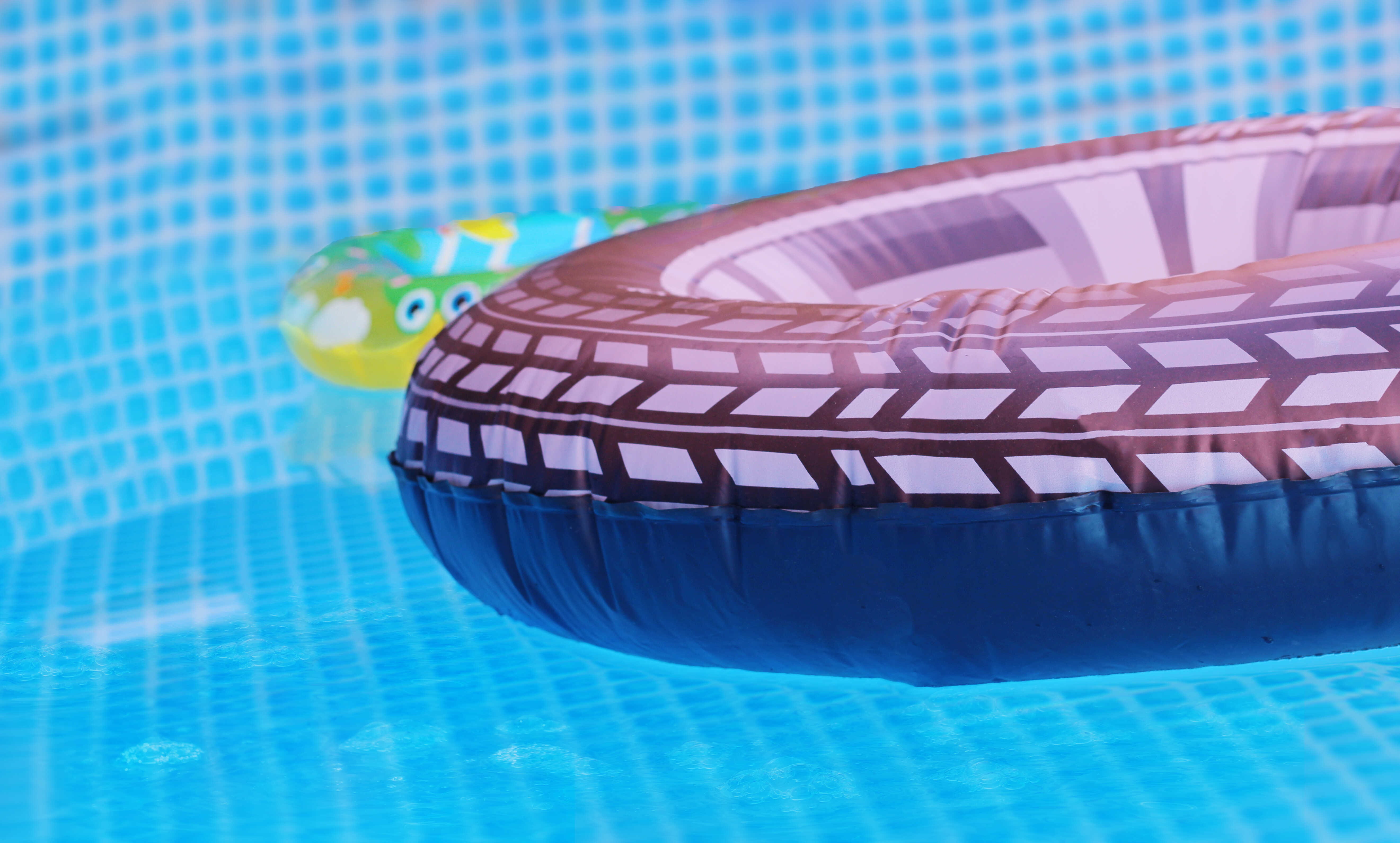 בריכה- דחוס.jpg