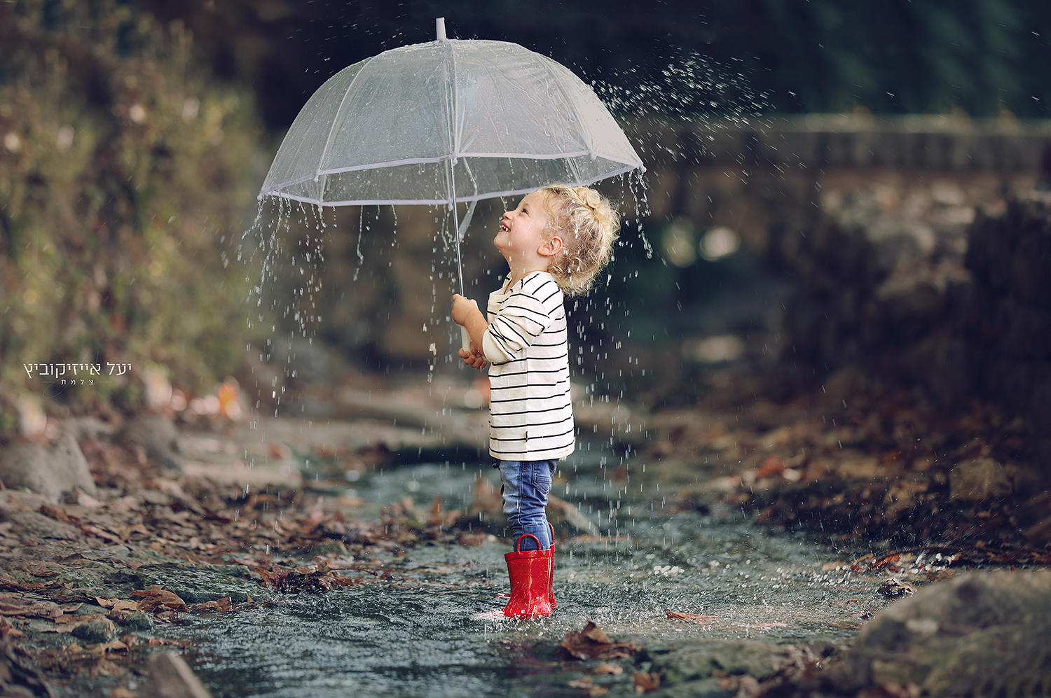 בריל (320 of 478).jpg