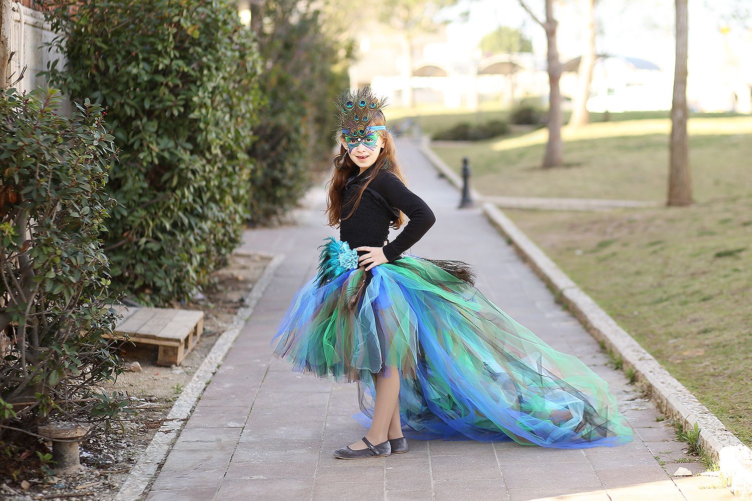 ברכי מוקטן 4.jpg