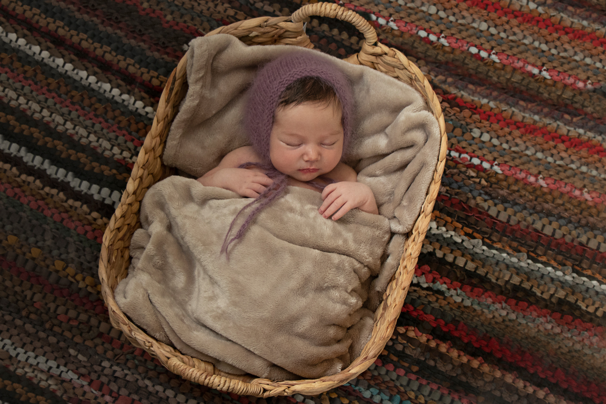 ברכי סלסלה  שטיח.jpg