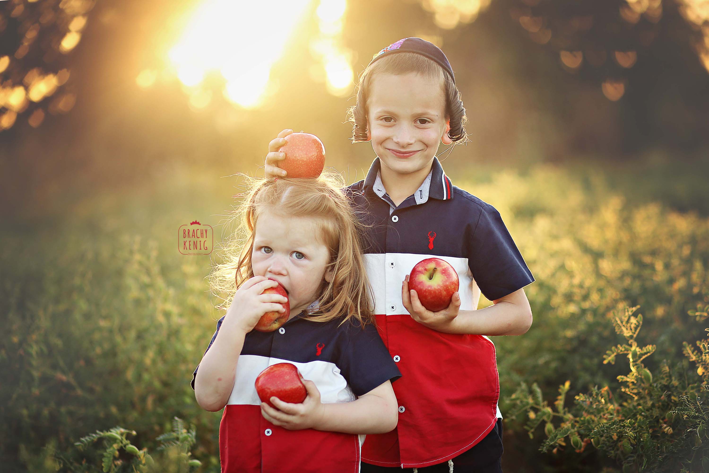 ברכי קעניג 0534111964 (7).jpg