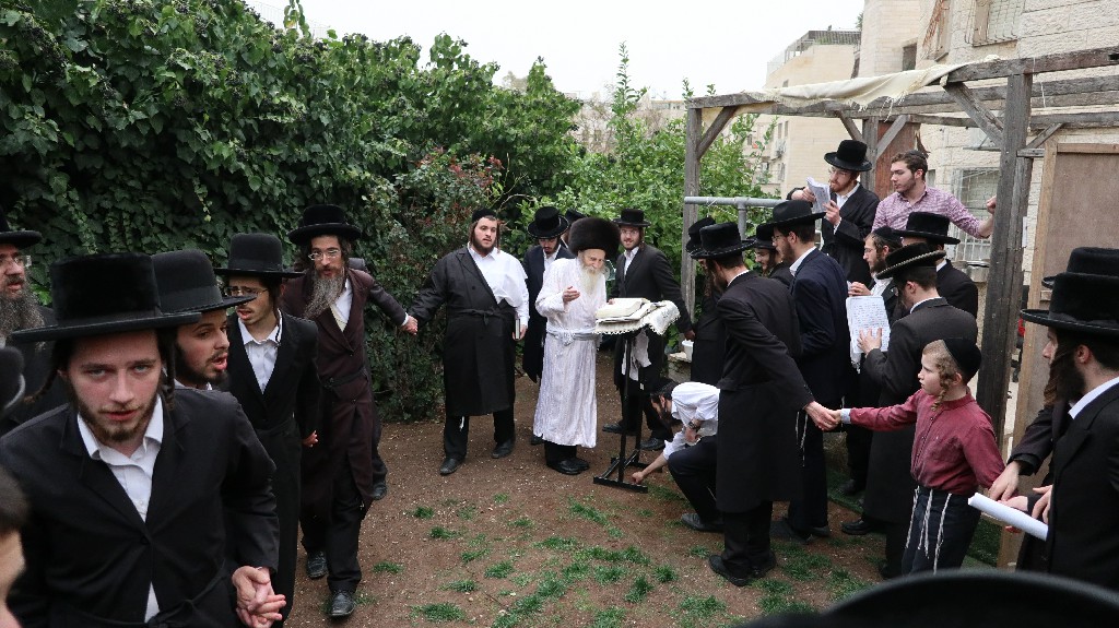 ברכת האילנות (11).jpg