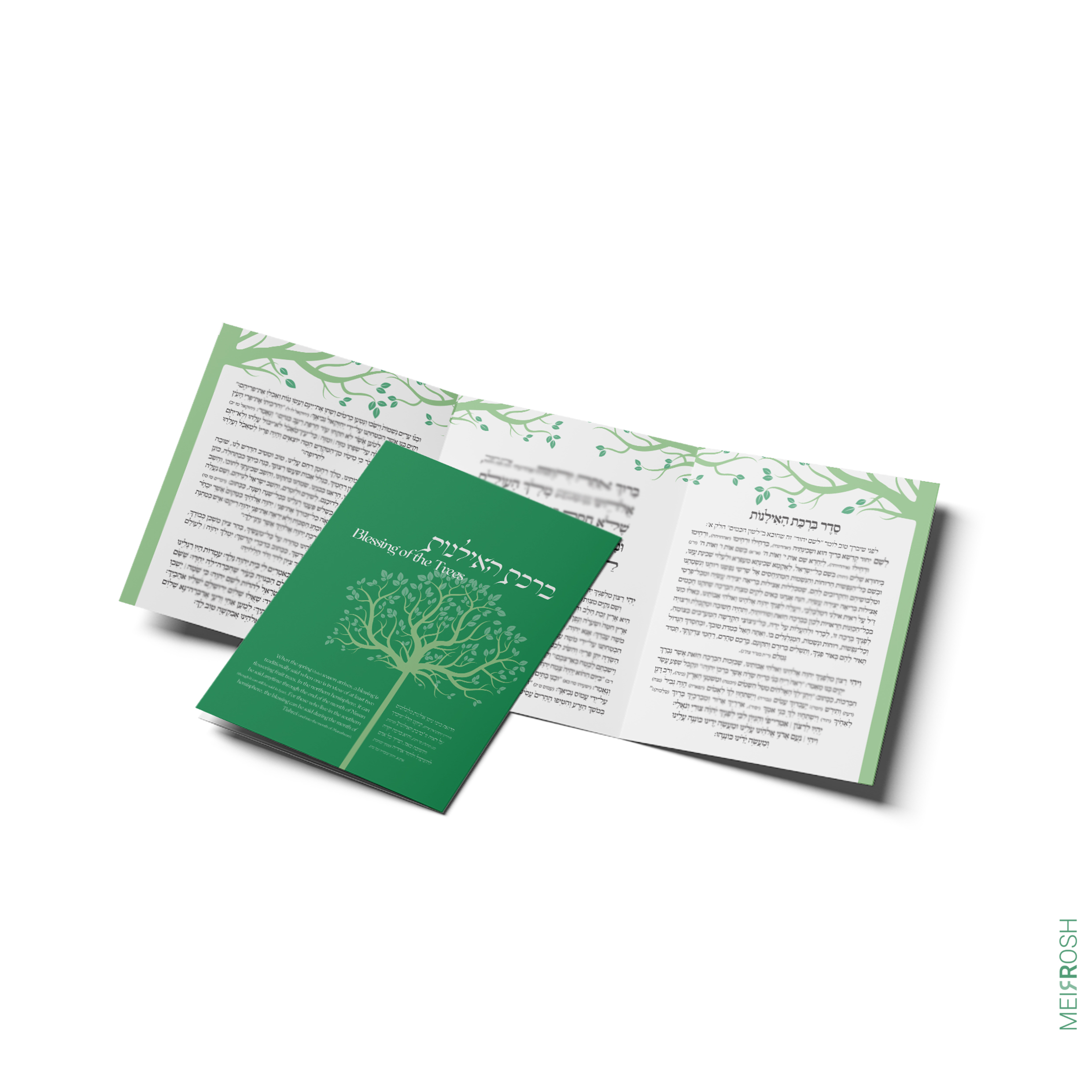 ברכת האילנות MeirRoshDesign2.jpg