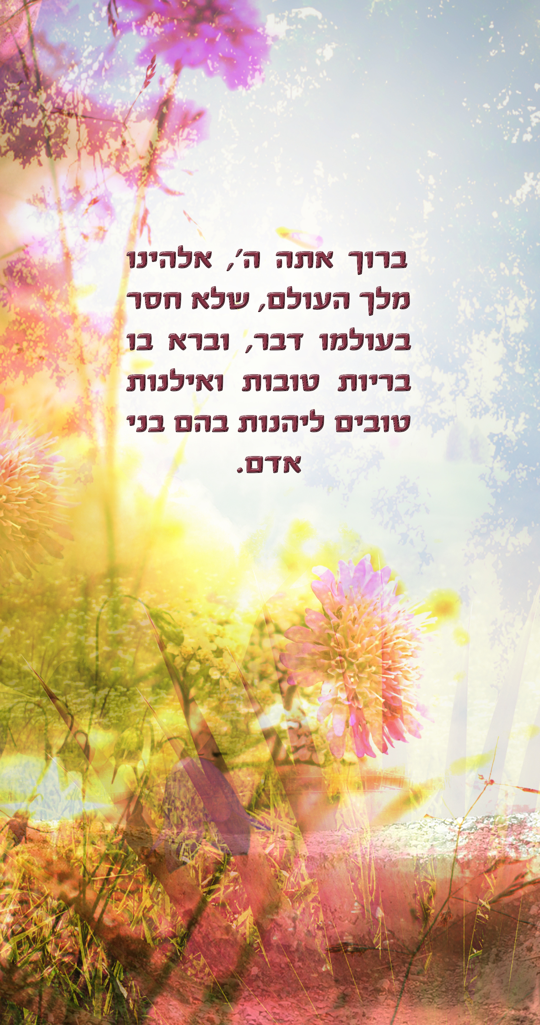 ברכת האלנות 2.jpg