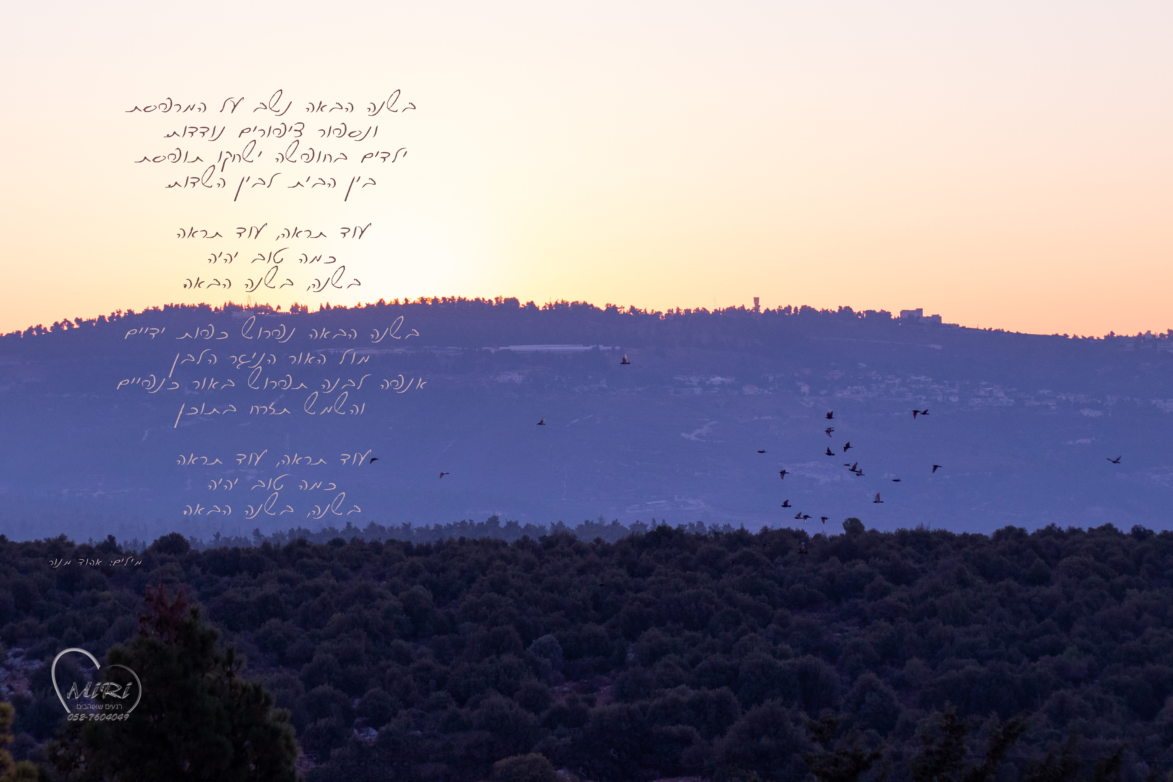 בשנה הבאה.jpg