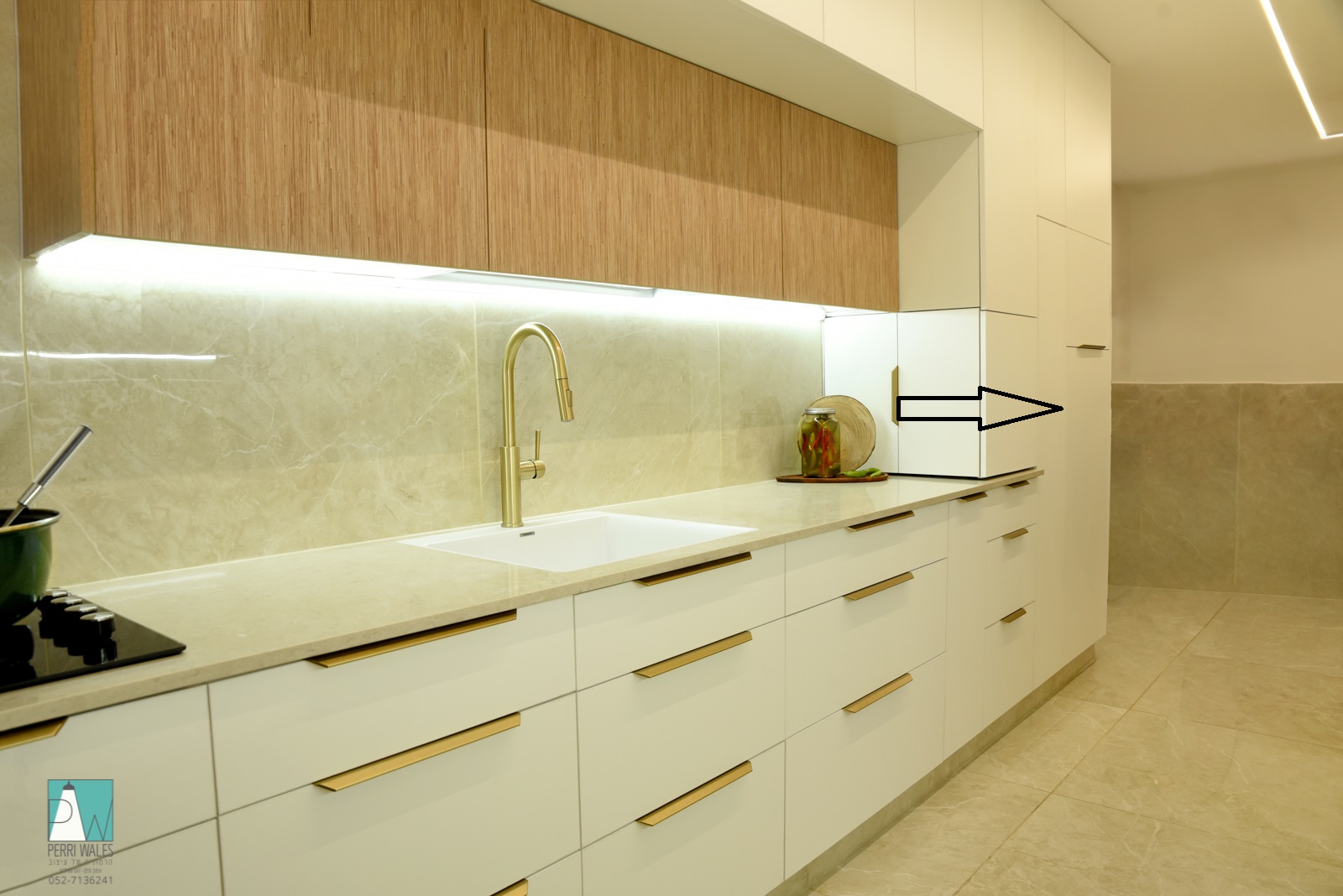 בשרי עם חץ.jpg