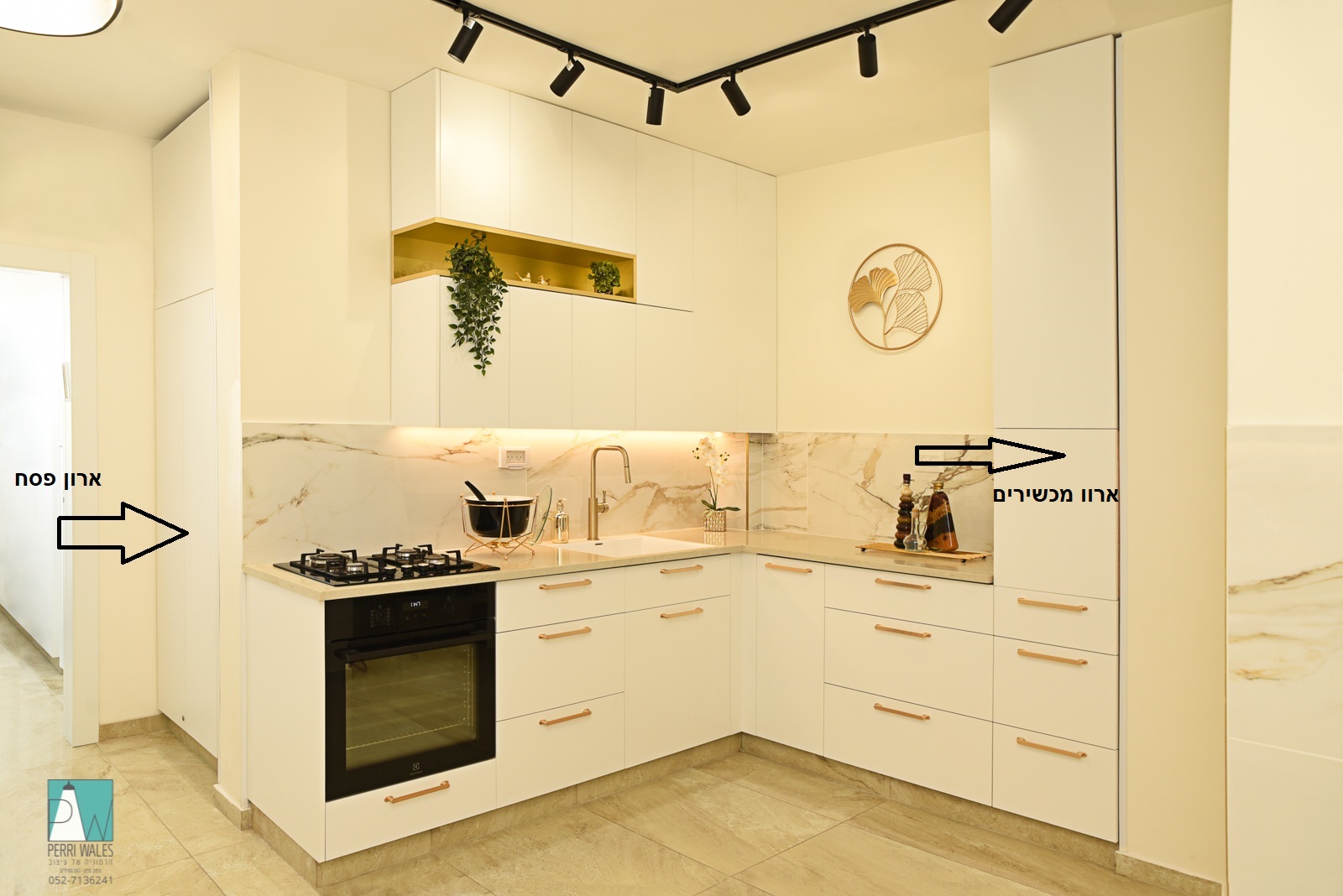 בשרי עם חץ.jpg