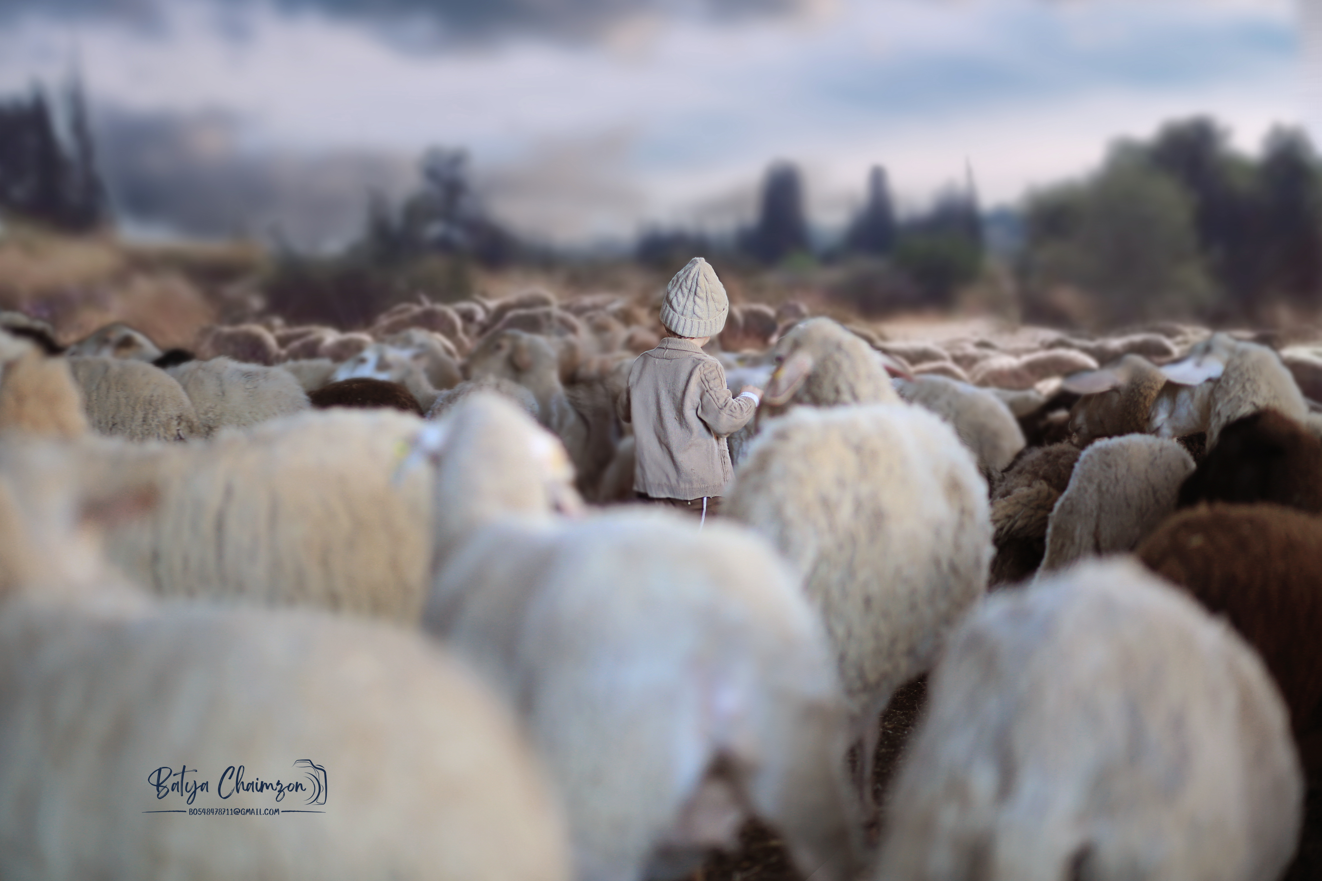 בתיה חיימזון (10) copy.jpg