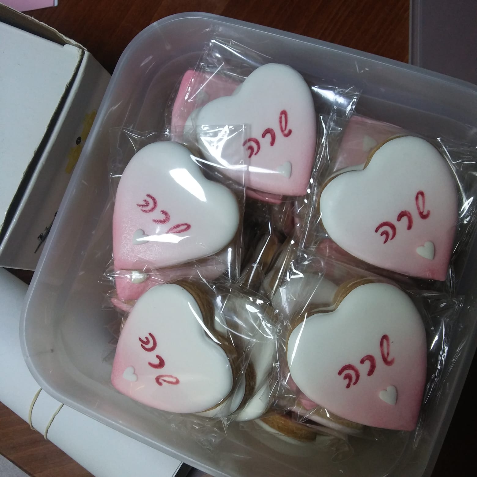 בת מצוה שרה  מוסן.jpg