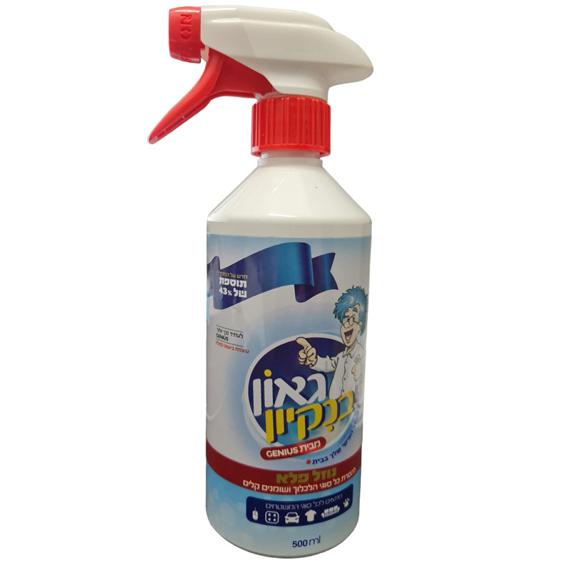 גאון בנקיון.jpg