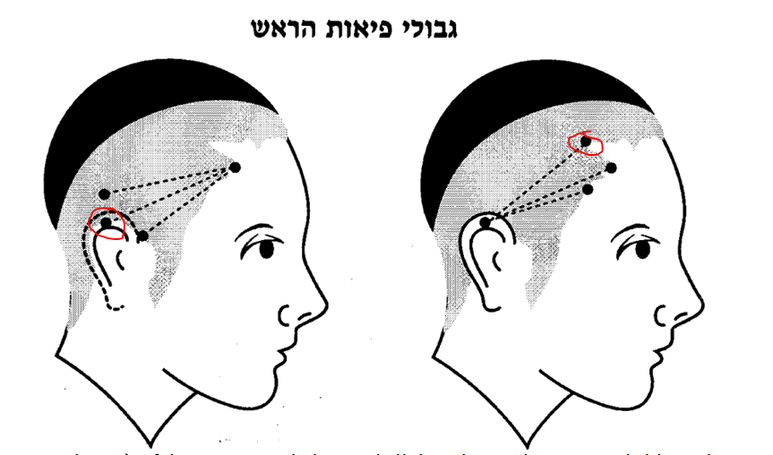 גבולי פיאות הראש.png