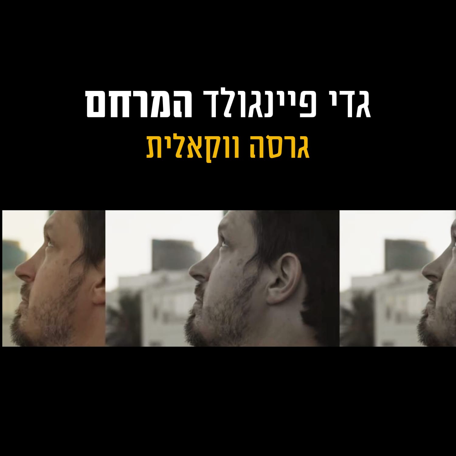 גדי פיינגולד - המרחם.jpg