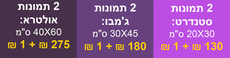 גדלים נפוצים.jpg