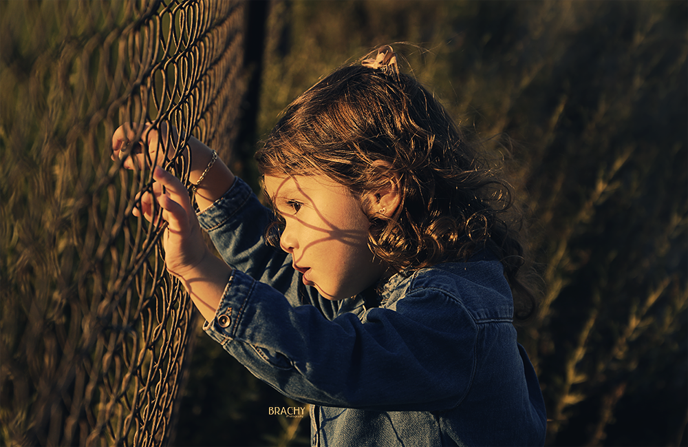 גדר מוקטן.png