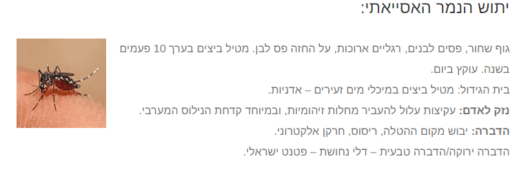 ג'וק.png
