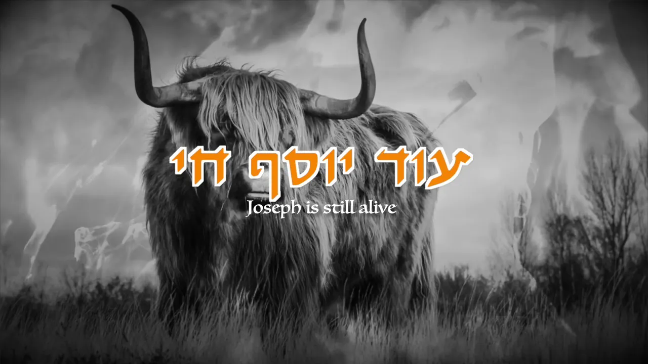  גור אריה - עוד יוסף חי.png