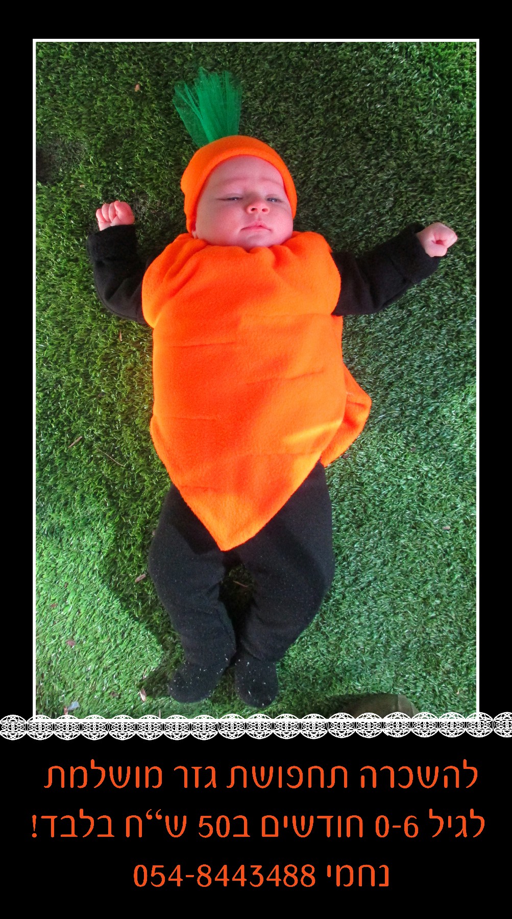 גזר להשכרה.jpg