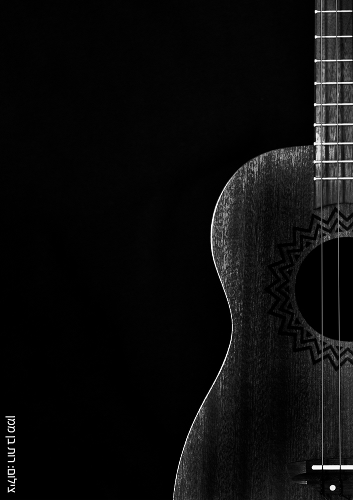 גיטרה-A3 copy.jpg