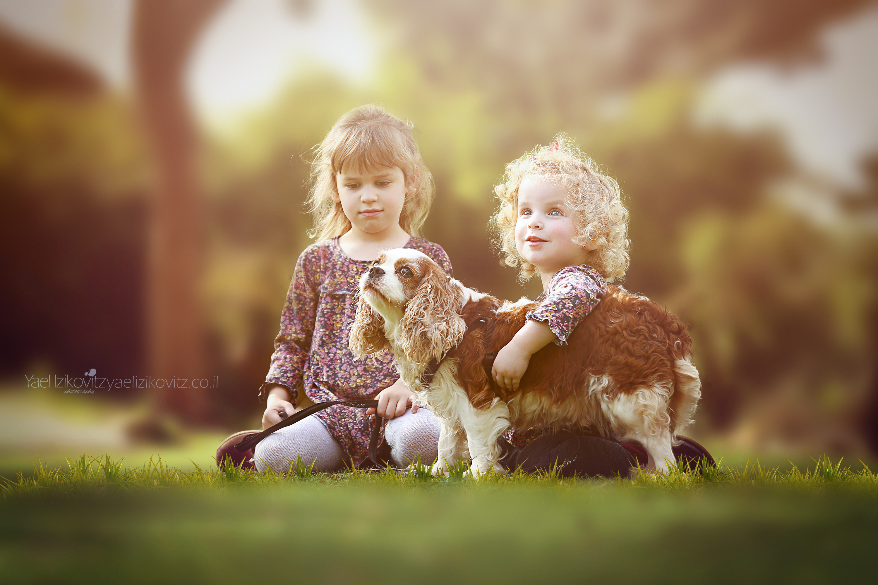 גילי מיכלי והכלבה.jpg