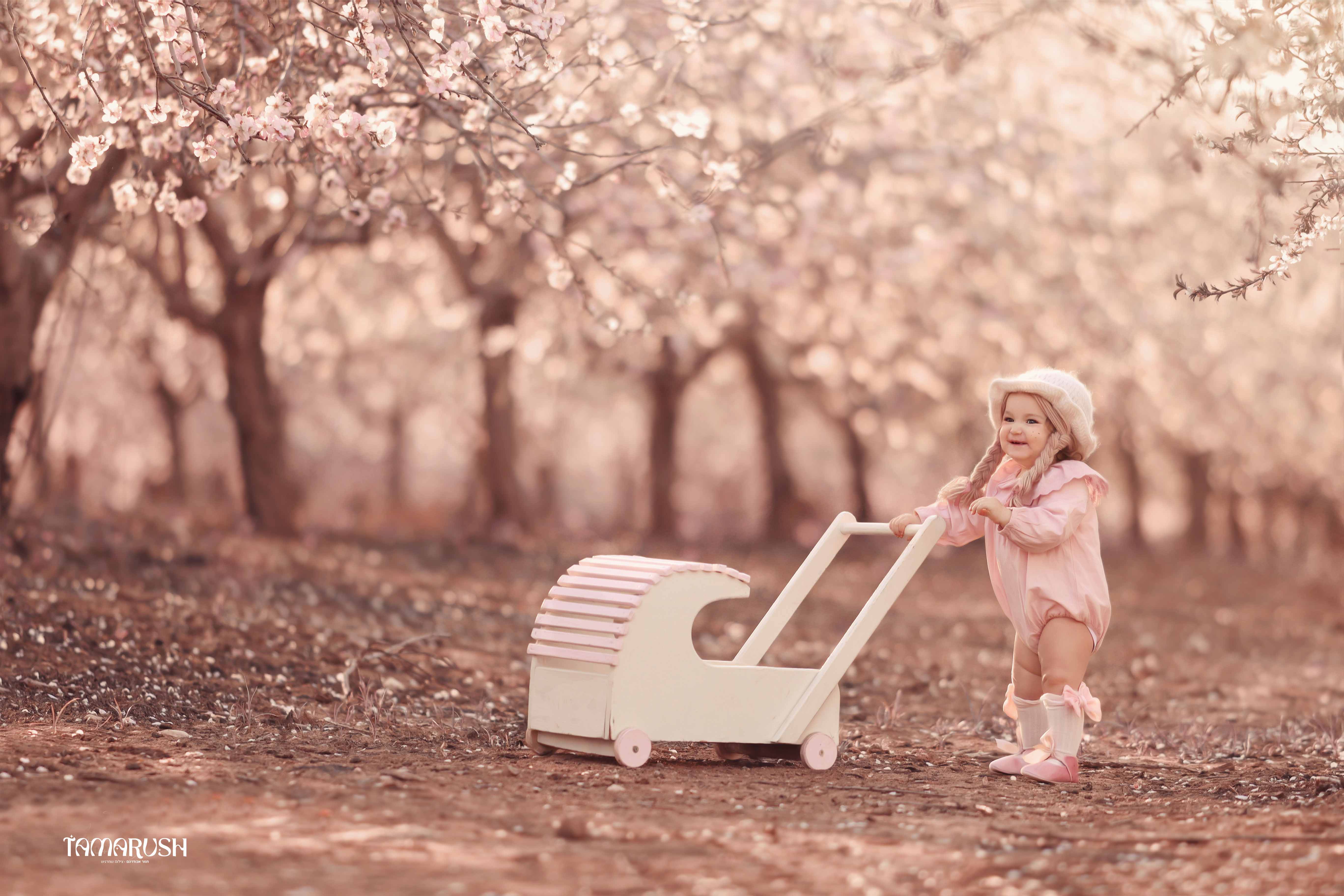 גיל שנה שקדיות.jpg