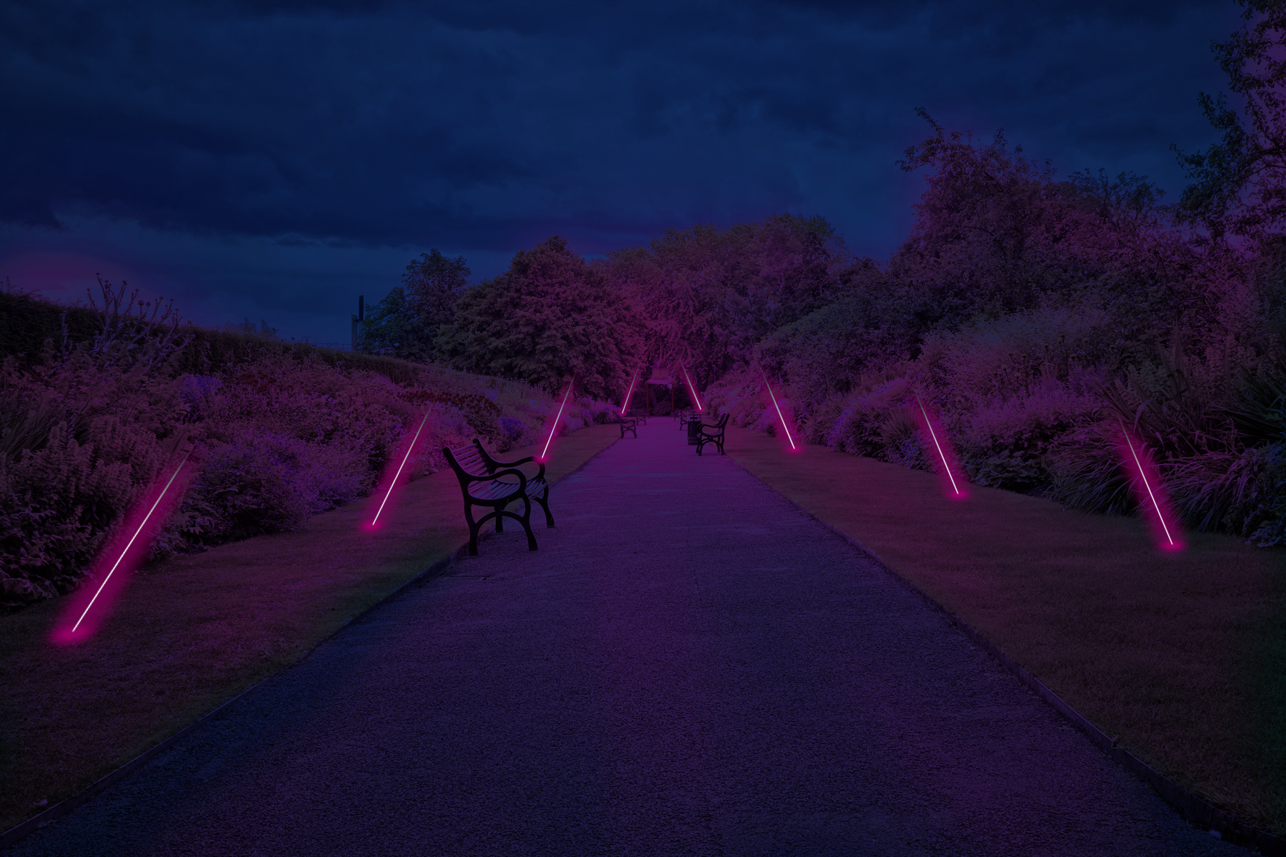 גינה עם נורות ניאון.jpg