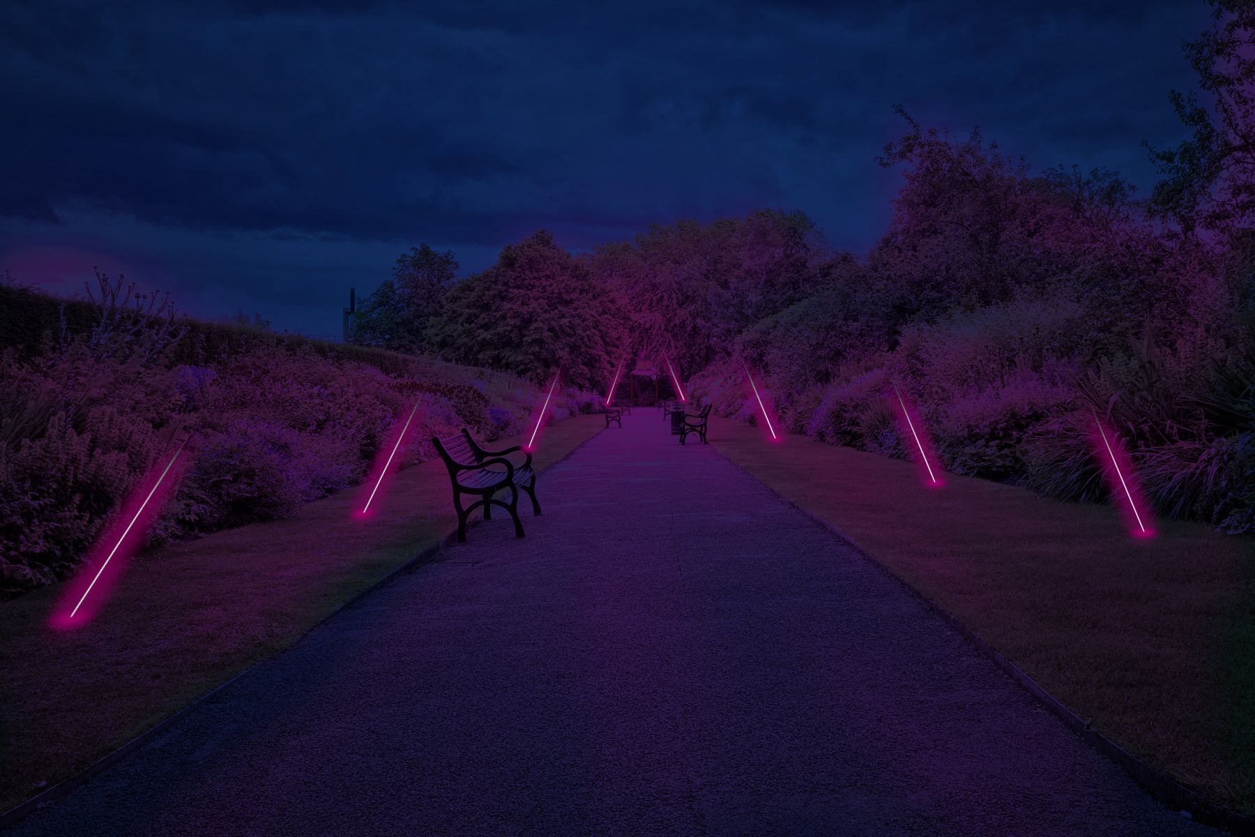 גינה עם נורות ניאון.jpg