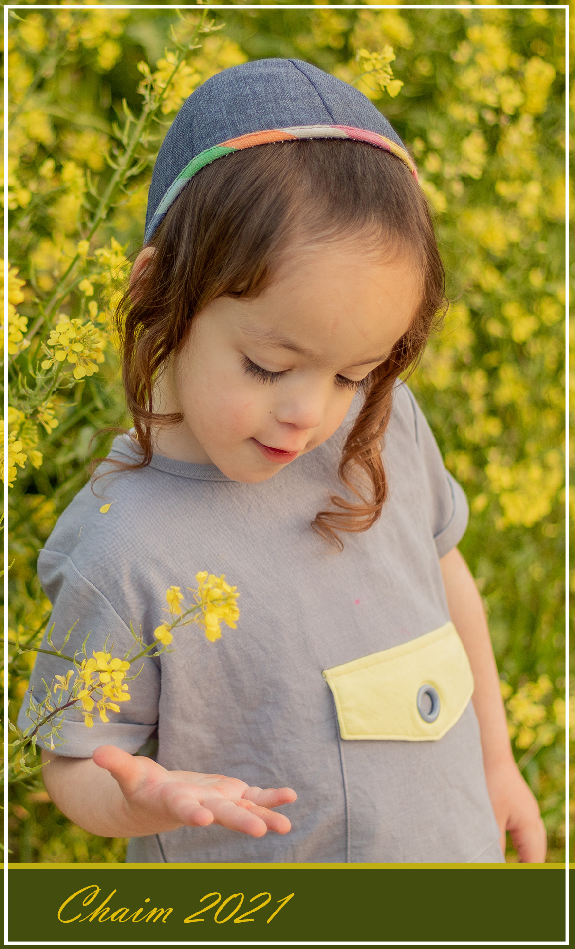 גלויה חיים מוקטן.jpg