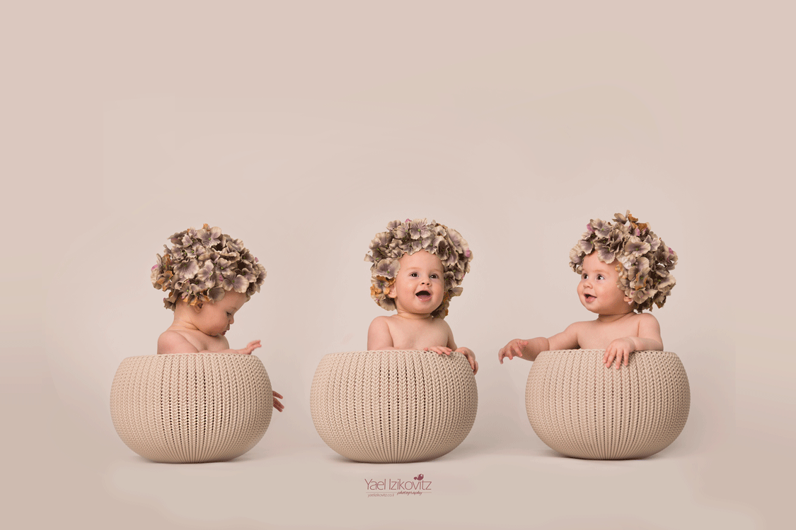 גלי-פרחים-2.gif