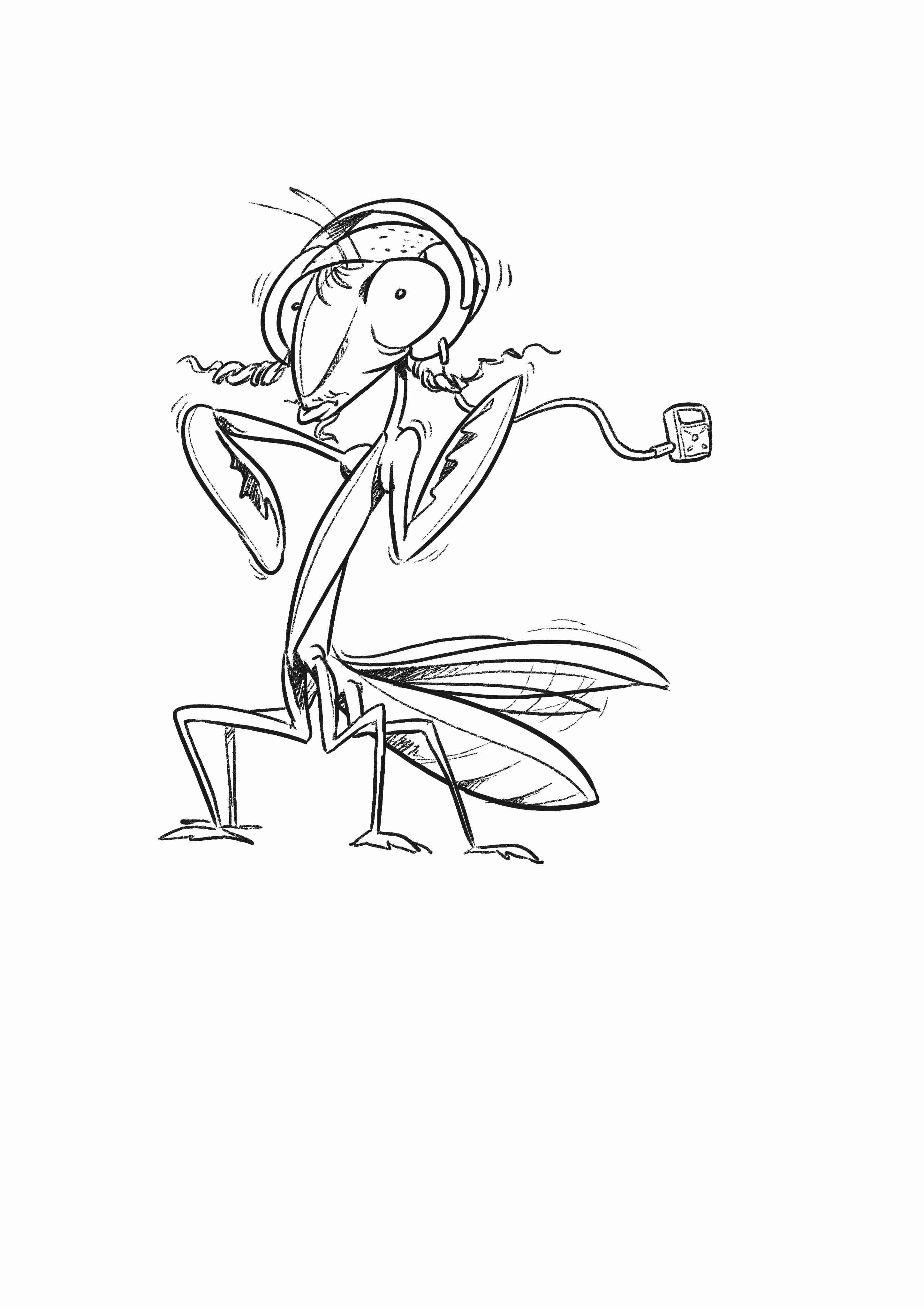 גמל שלמה אינק קטן.jpg