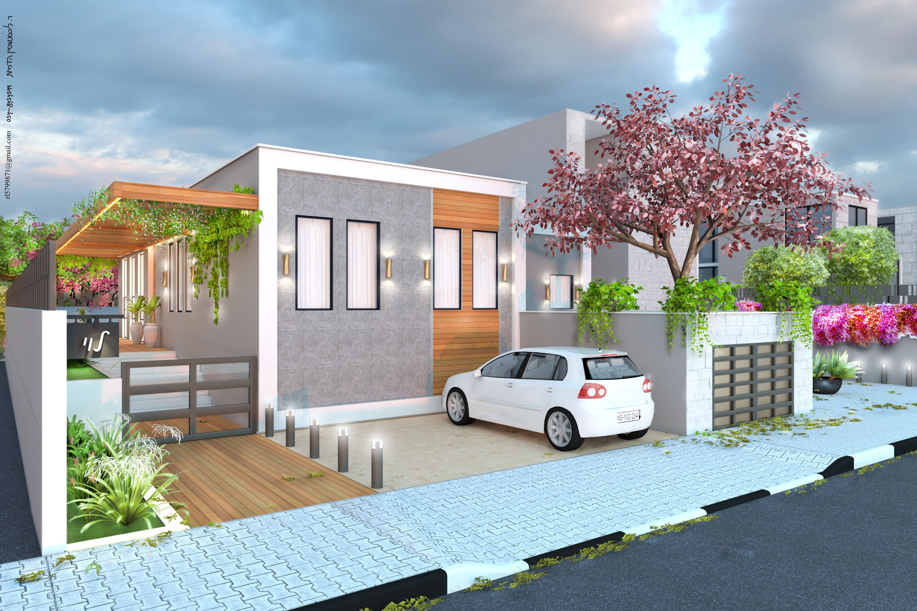 גמר עץ בורדו.jpg