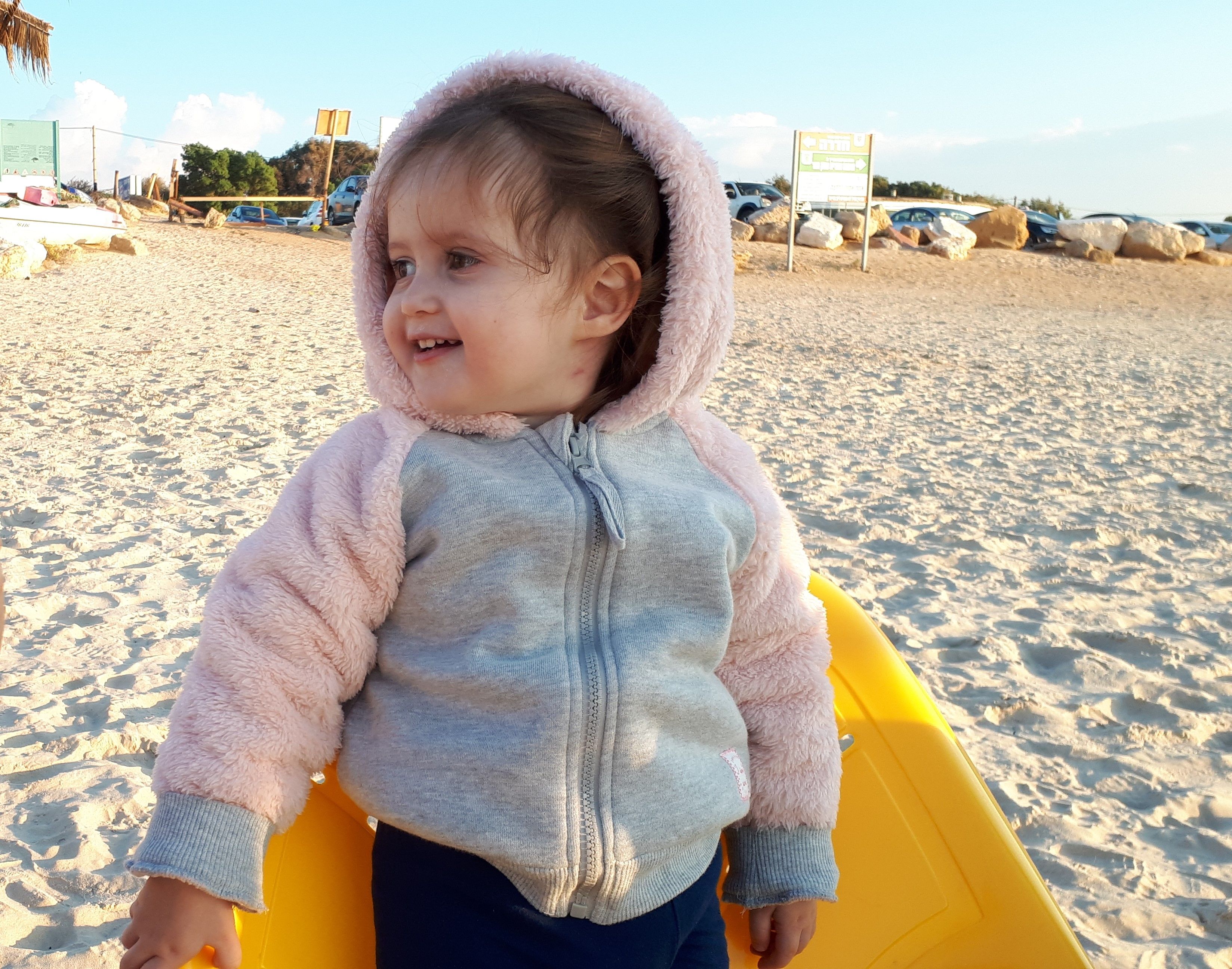 גפן לא ערוך.jpg