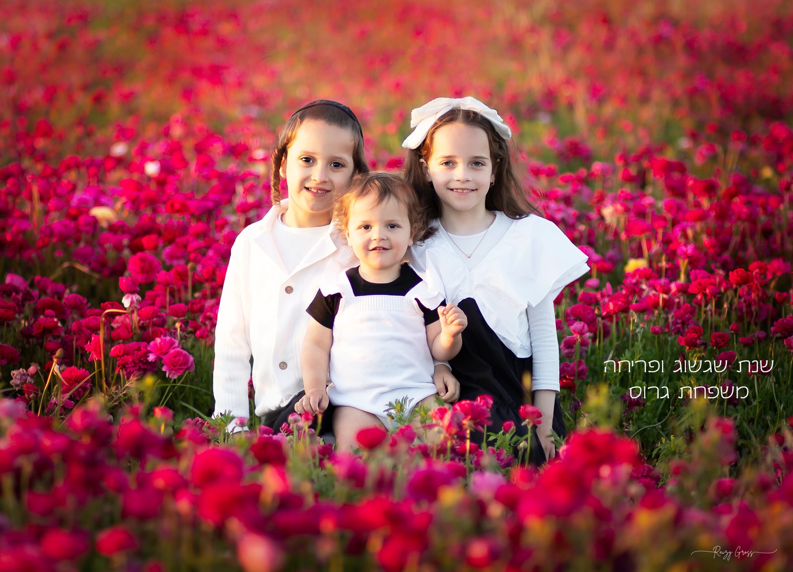 גרוס copy_1600x1155.jpg