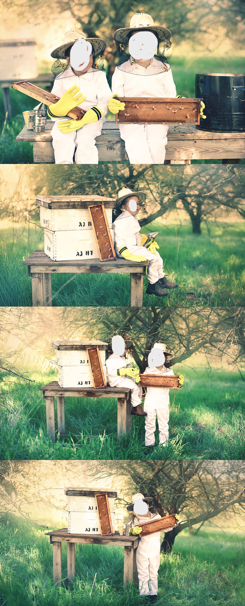 דבוראים פרוג.jpg