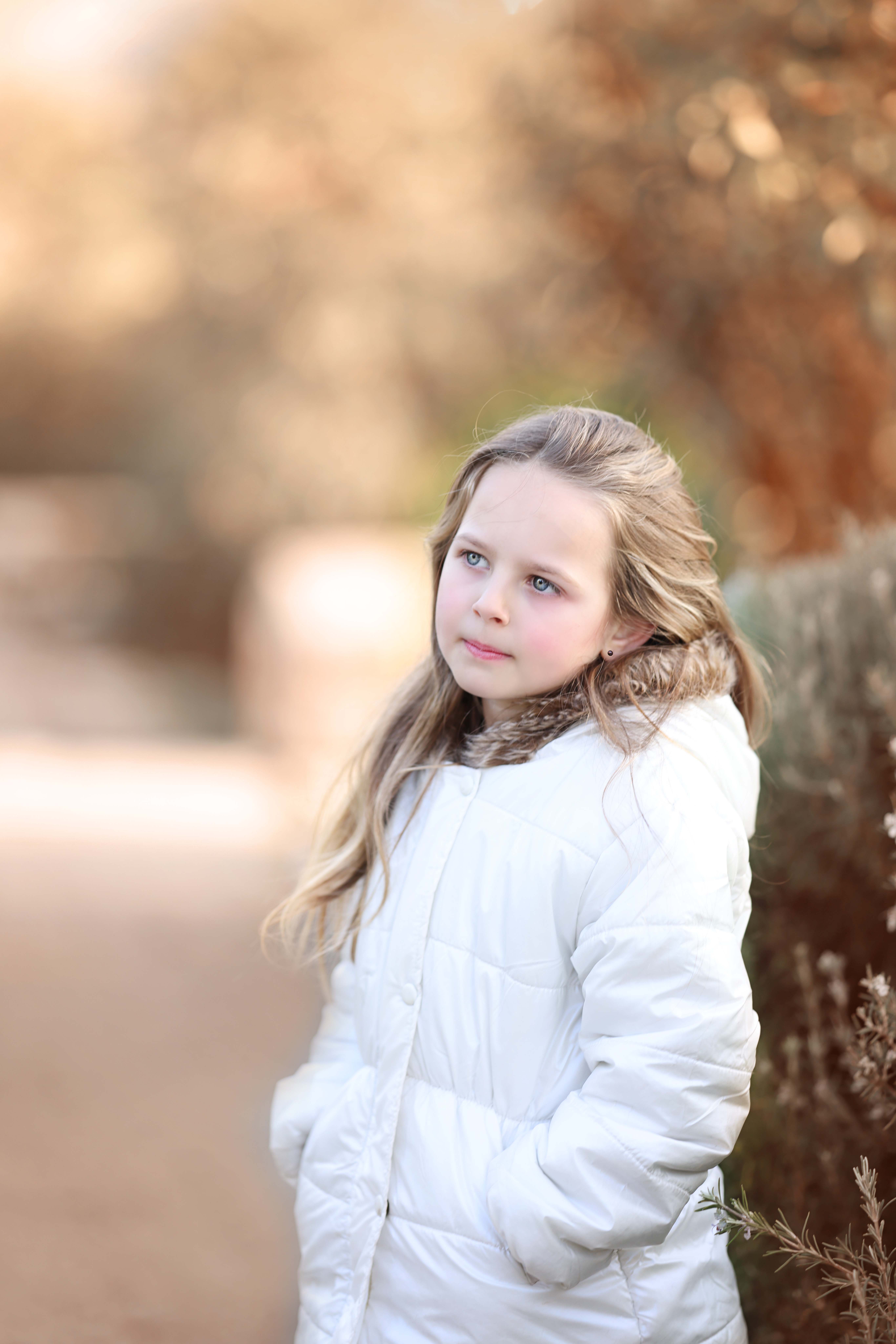 דבורי הרשלר -איכות מוקטנת (2).jpg