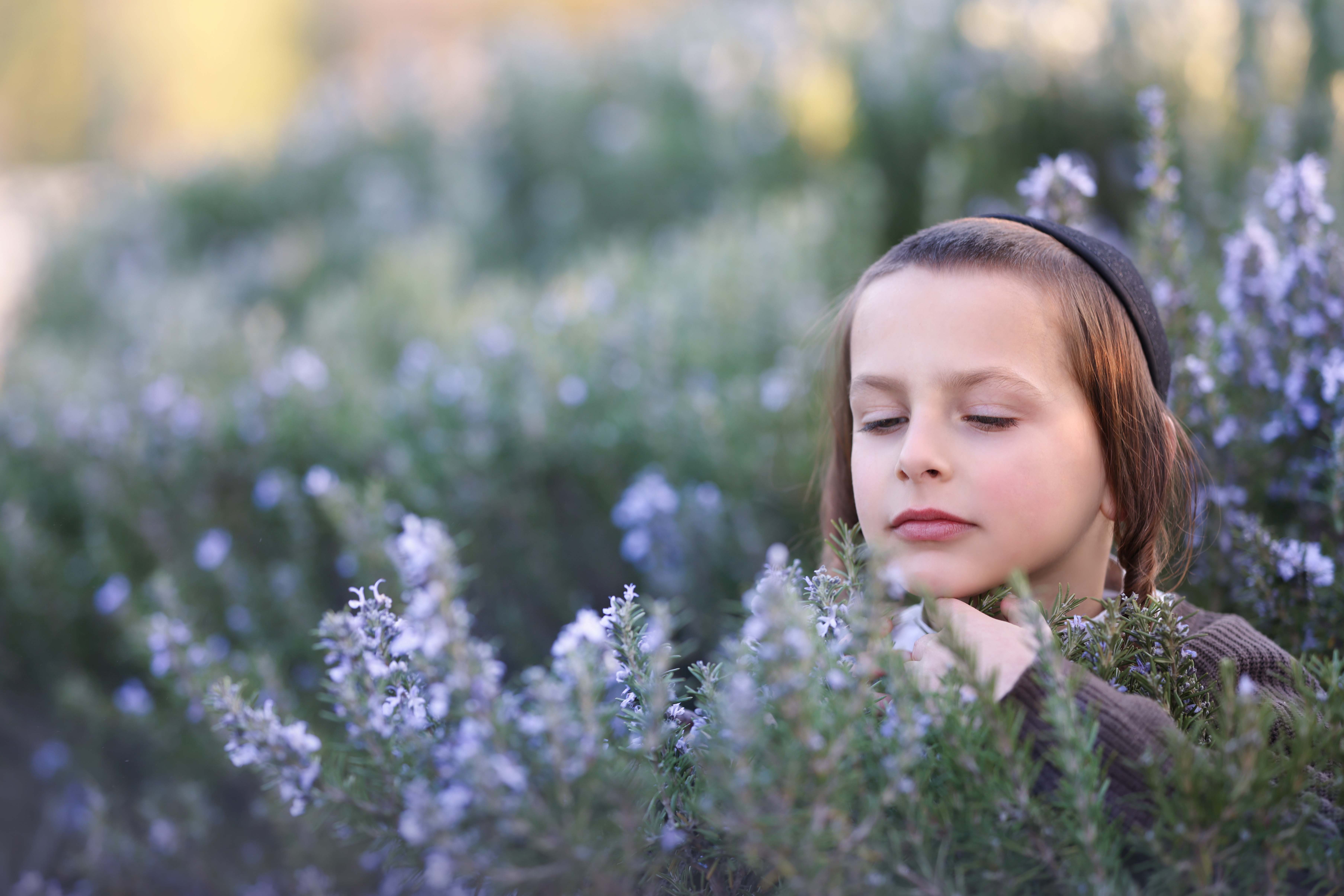 דבורי הרשלר -איכות מוקטנת (4).jpg