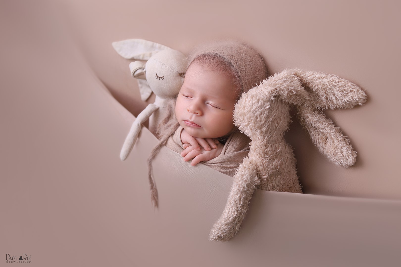 דבורי רוט צילומי ניו בורן 0527132307  (1).jpg