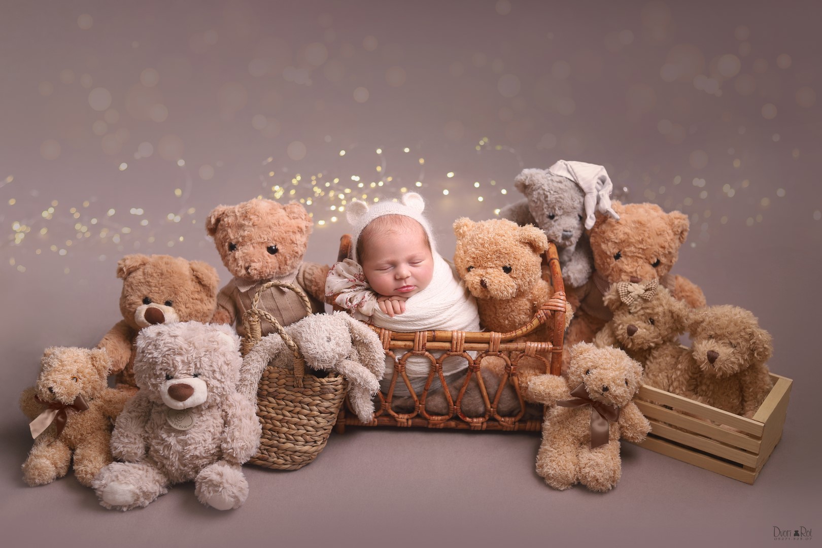 דבורי רוט צילומי ניו בורן 0527132307  (1).jpg