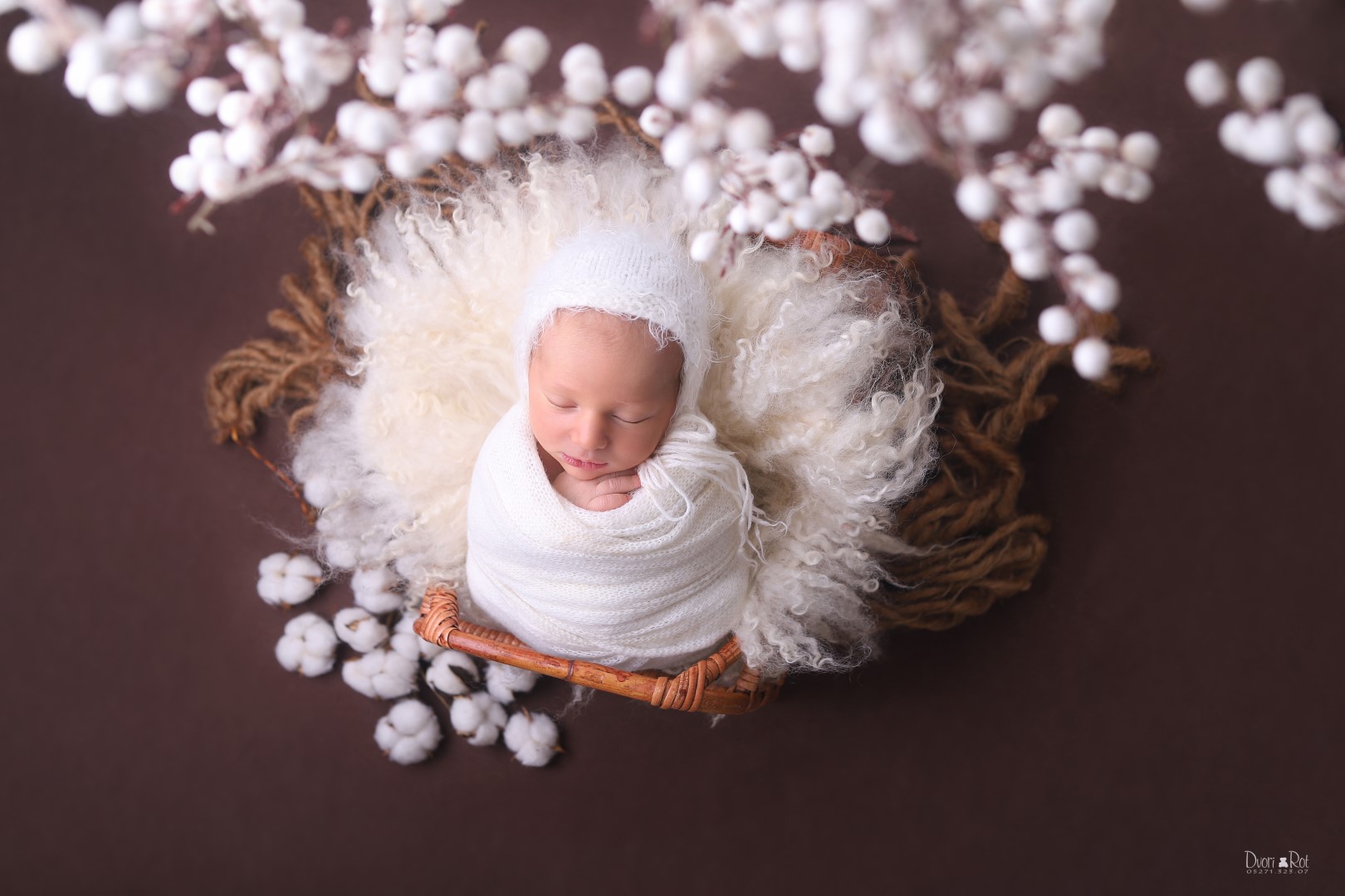 דבורי רוט צילומי ניו בורן 0527132307  (3) (Large).jpg