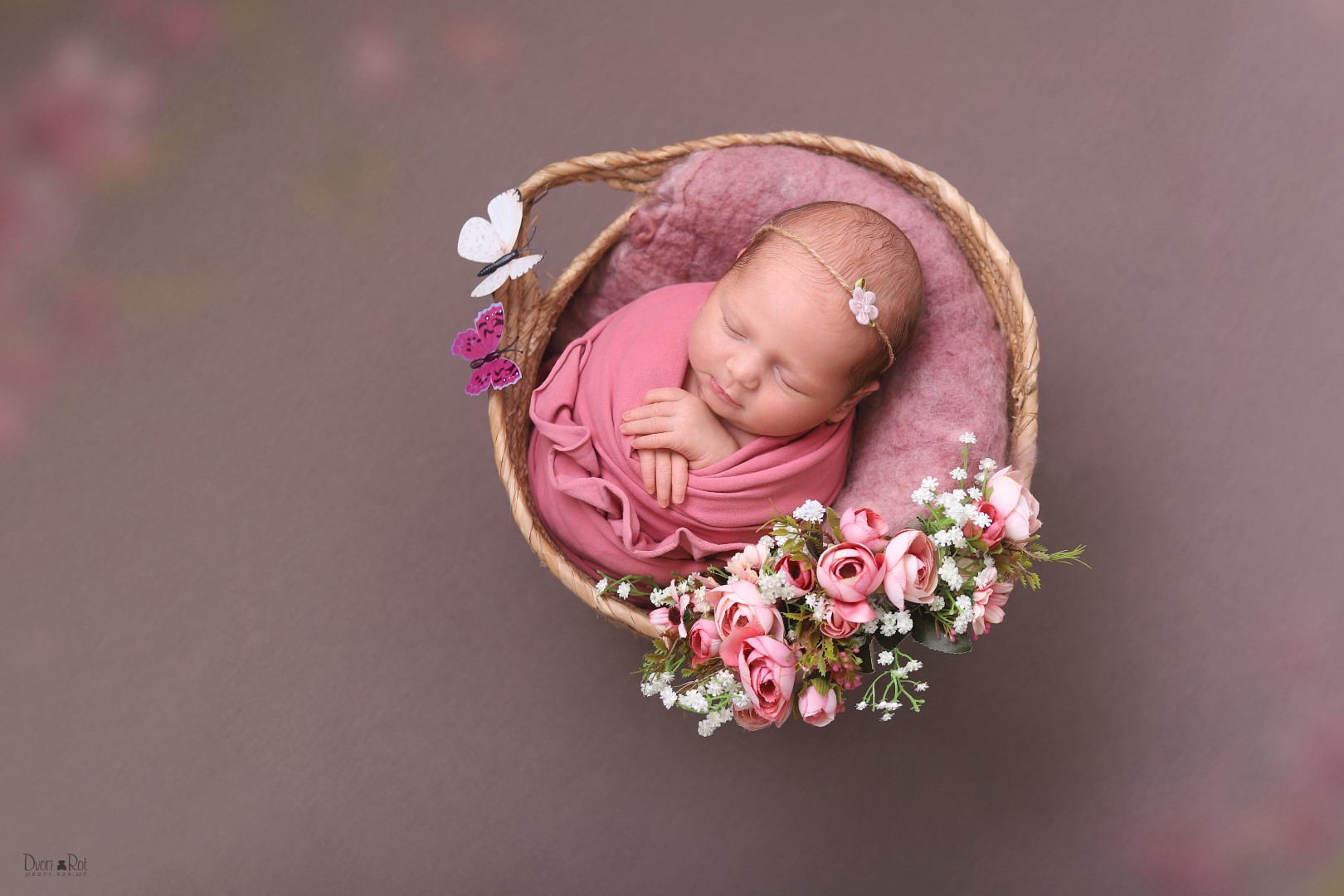 דבורי רוט צילומי ניו בורן 0527132307  (5).jpg