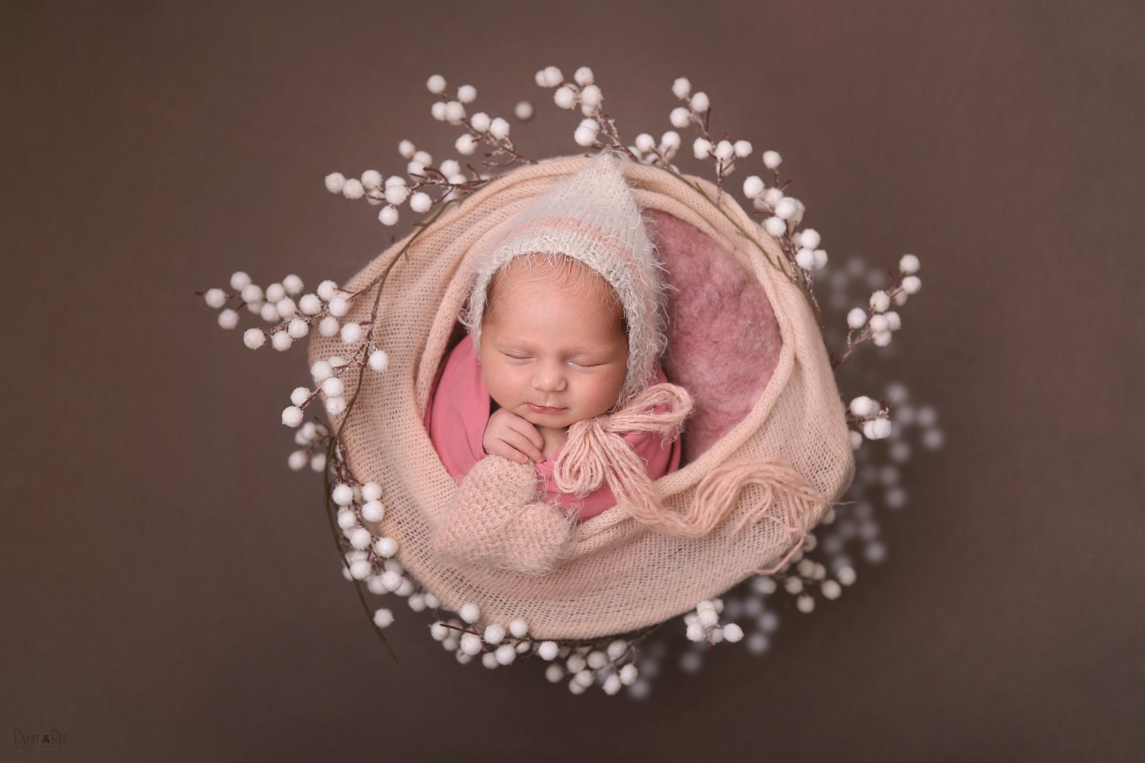 דבורי רוט צילומי ניו בורן 0527132307  (6).jpg