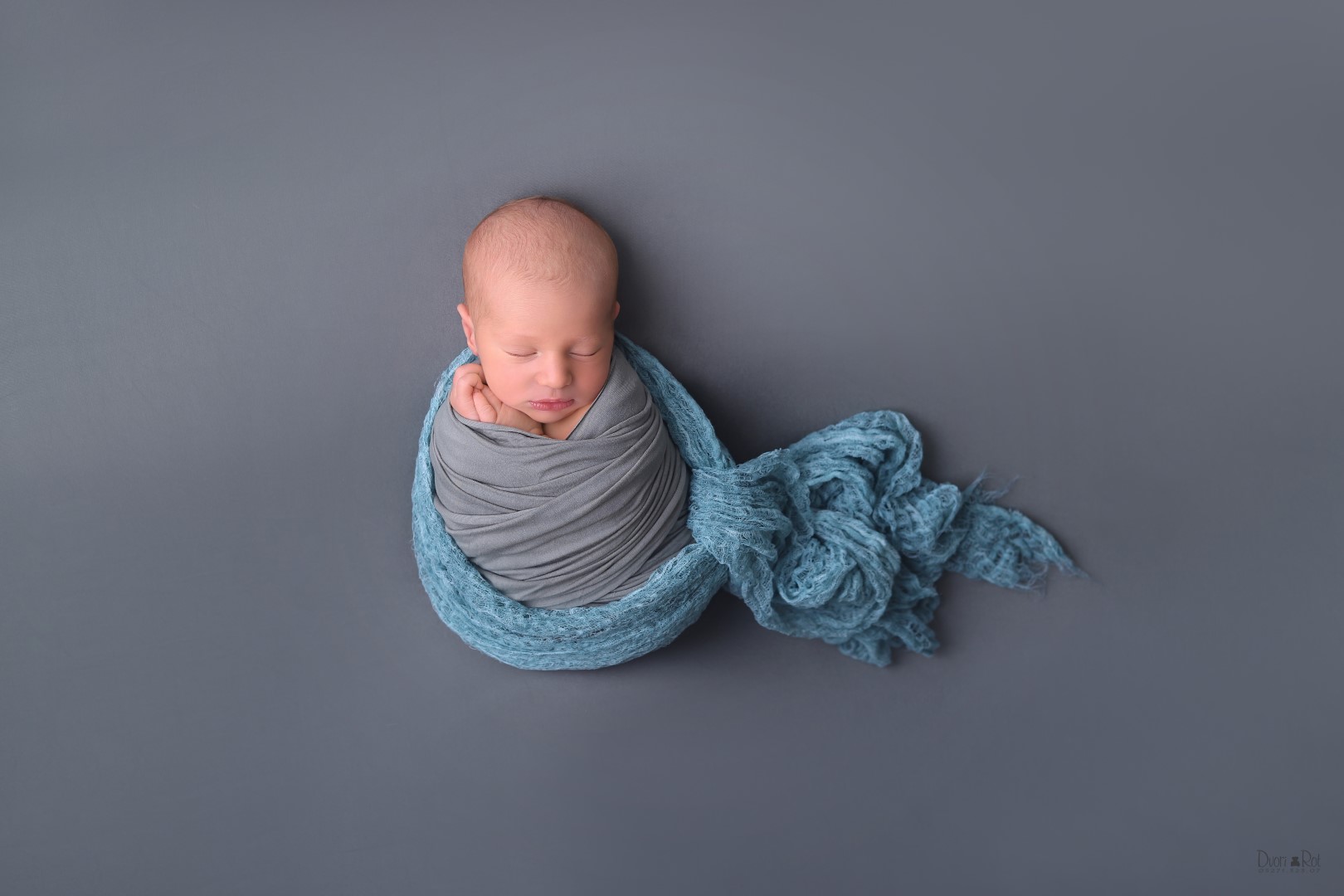 דבורי רוט צילומי ניו בורן 0527132307  (8) (Large).jpg