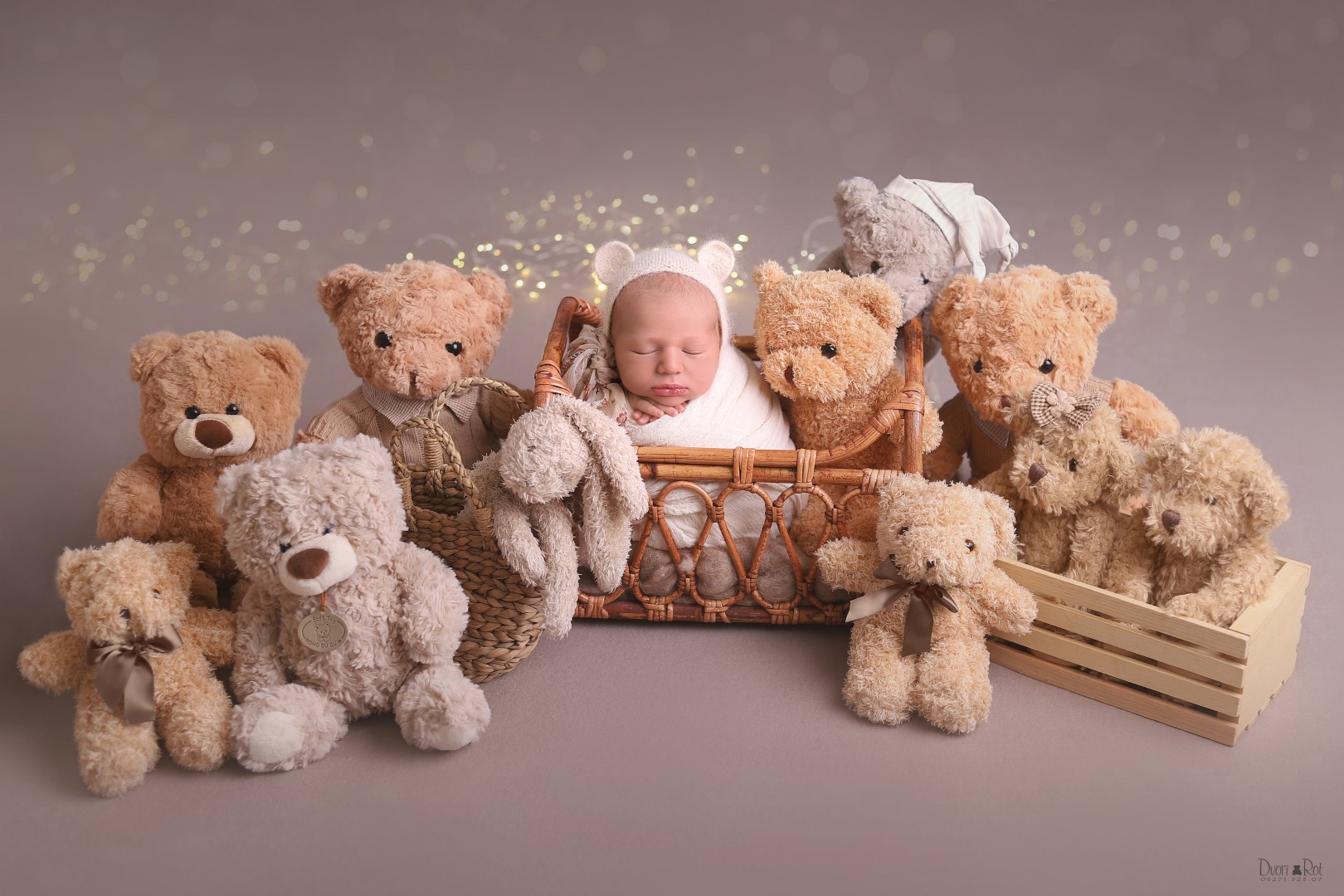 דבורי רוט צילומי ניו בורן 0527132307  (9) (Large).jpg