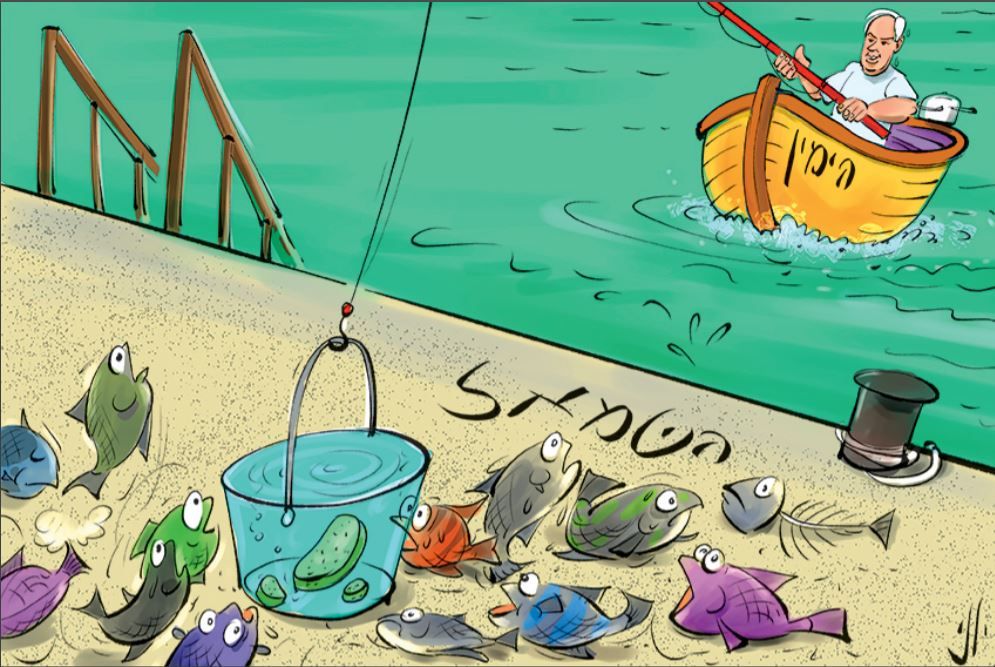 דגים יוני.JPG