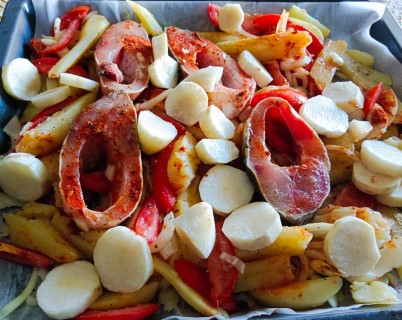 דג (1) (Phone).jpg