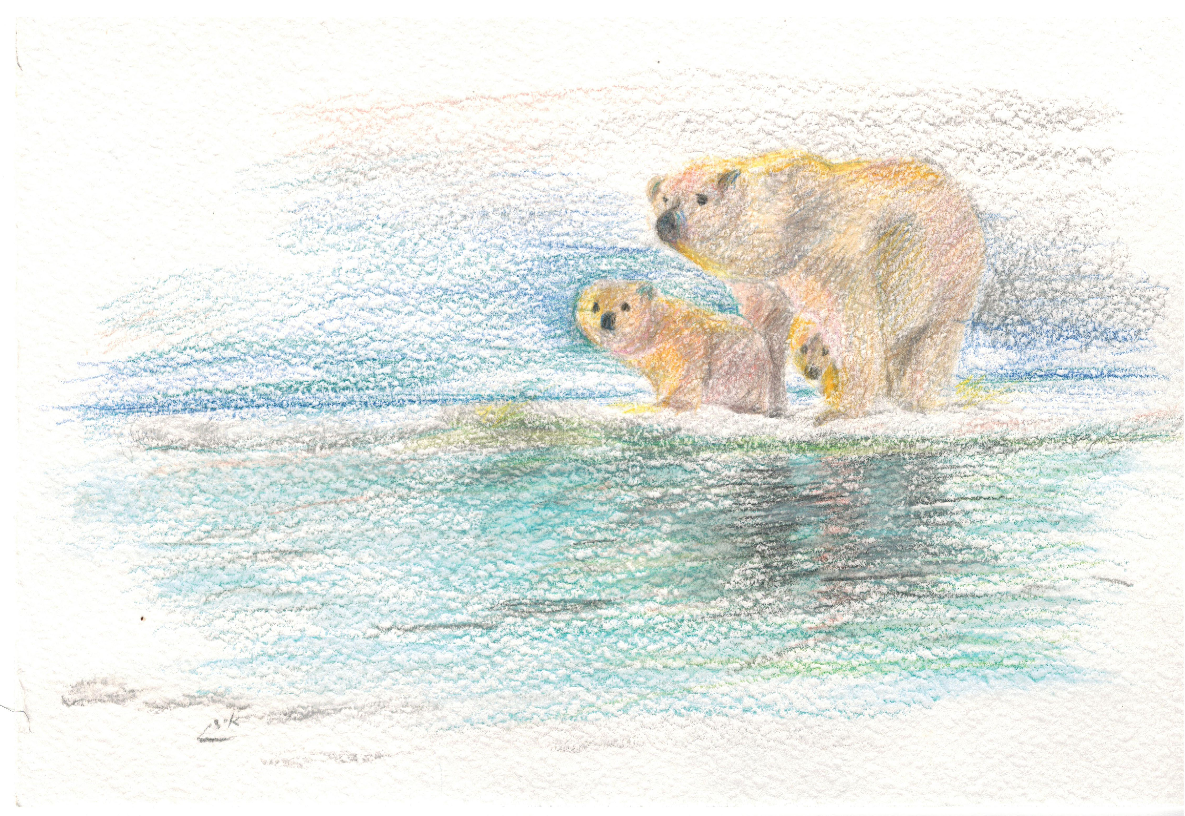 דובים - ציור מוקטן.jpg