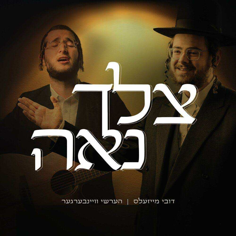דובי מייזעלס & הערשי ויינברגר - צלך נאה.jpg