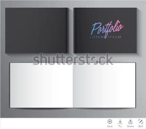 דוגמא למוקאפ של אלבום.jpg