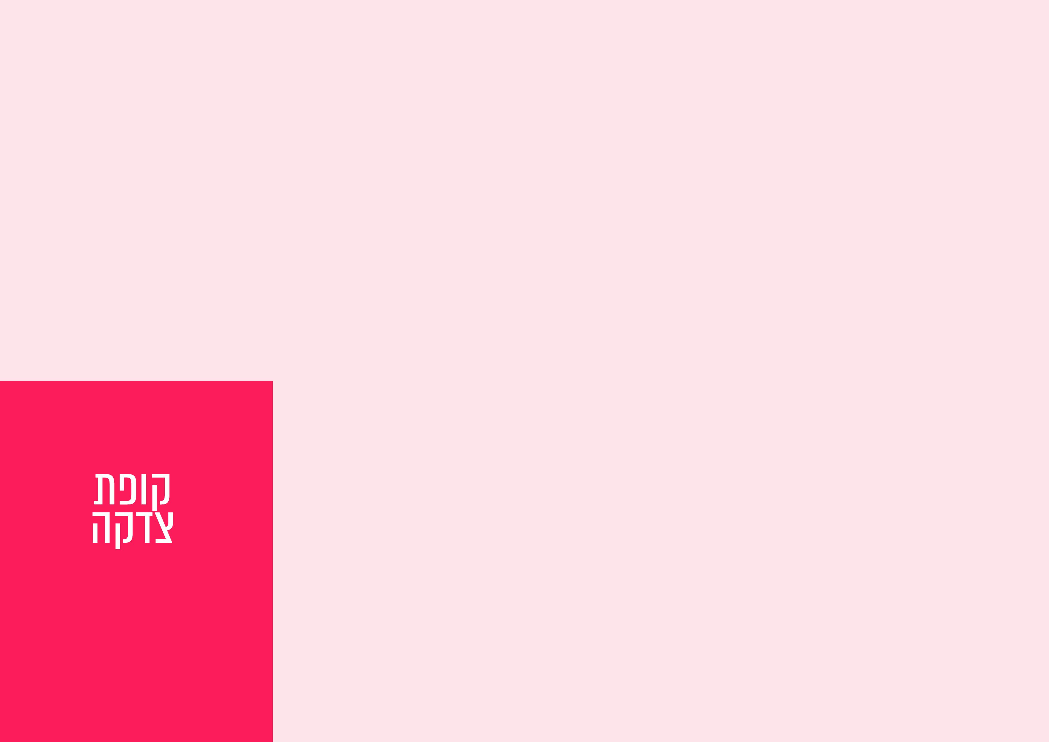 דוגמא לפרוג.jpg