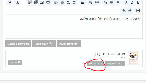 דוגמא.PNG